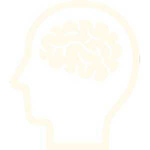 Workshops & Training